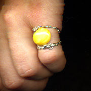 FRAME RING